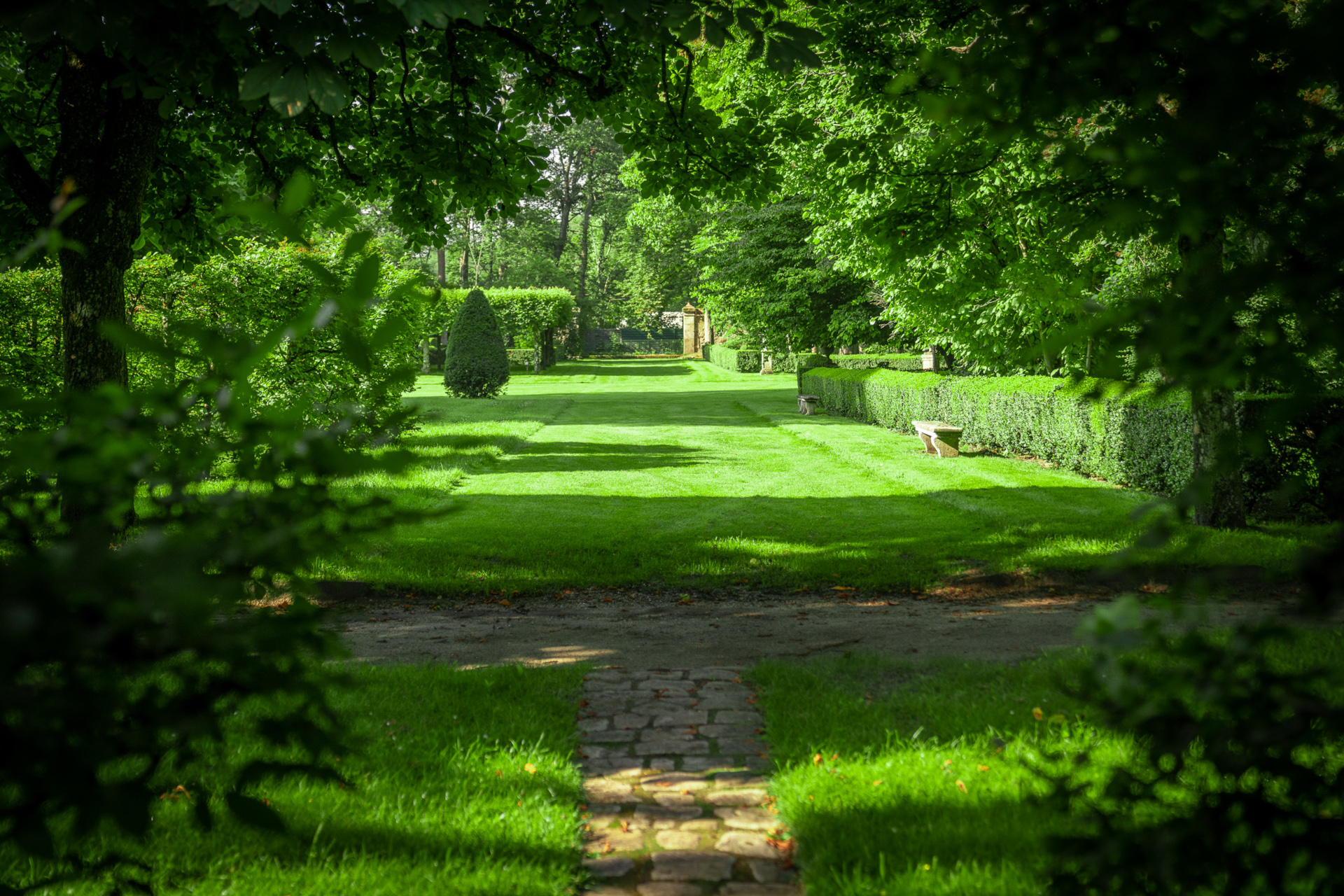 Grand jardin avec tonte, taille et aménagements paysagers représentant les qualités et savoirs faire de l'entreprise Jardin Nature.
Belle luminosité couleurs chaudes et vertes représentatives d'un jardin en pleine santé et d'un entretien parfaitement réalisé